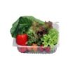 Exotic Vegetable Salad - Hydroponically Grown - Image 2