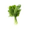Spinach - Hydroponically Grown (250 g) - Image 2
