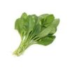 Spinach - Hydroponically Grown (250 g) - Image 3