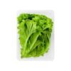 Green Leafy Lettuce - Hydroponically Grown - Image 2