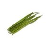 Drumstick (Sahjan) - Image 2