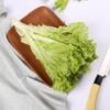 Green Lettuce - Image 2