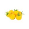 Yellow Cherry Tomato - Image 2