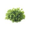 Fenugreek (Methi) - Image 2