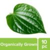 Betel Leaves - Organically Grown