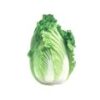Chinese Cabbage - Image 2