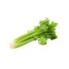 Celery - Image 2