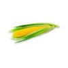 Corn Cob (Bhutta) - Image 2