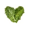 Kale Leaves - Image 2