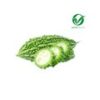 Bitter Gourd - Organically grown (Karela) - Image 2