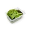 Lettuce Box - Hydroponically Grown - Image 3