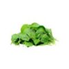 Baby Spinach Hydroponically Grown - Image 2