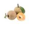 Sapota (Chikoo) - Image 2