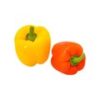 Hydroponic Sweet Bell Pepper (Cocktail) - Image 2
