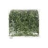 Spinach - Chopped - Image 2