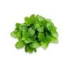 Mojito Combo - Image 3