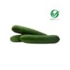 Organic English Cucumber - Image 2
