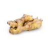 Ginger (Adrak) - Image 2