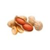 Groundnut (Moongfali)