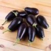 Small Purple Brinjal (Baingan)