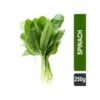 Spinach - Hydroponically Grown (250 g)