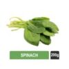 Spinach (Palak)