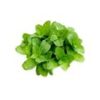 Mint Leaves (Without Roots) (Pudina)