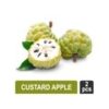 Custard Apple