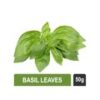 Basil Leaves