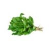 Mint Leaves (Pudina)