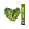 Kale Leaves