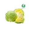 Cabbage - Organically grown (Patta Gobhi)