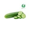 Green Cucumber - Organically grown (Kheera)