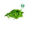 Green Peas - Organically grown