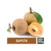 Sapota (Chikoo)