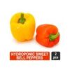 Hydroponic Sweet Bell Pepper (Cocktail)