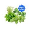 Herbs and Seasoning Combo