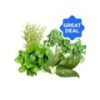 Herbs and Seasoning Combo