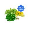 Basil Leaves + Lemon + Mint Leaves Bunch - With roots Combo