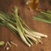 Lemongrass