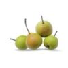 Indian Pear Nakh