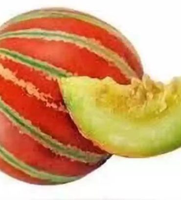 Musk Melon (Kajari)