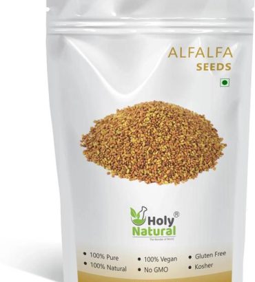 Holy Natural Alfalfa Seeds - 500 GM Alphalpha Seeds