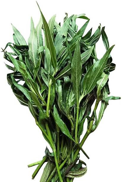 Kulekhara saag Leafy