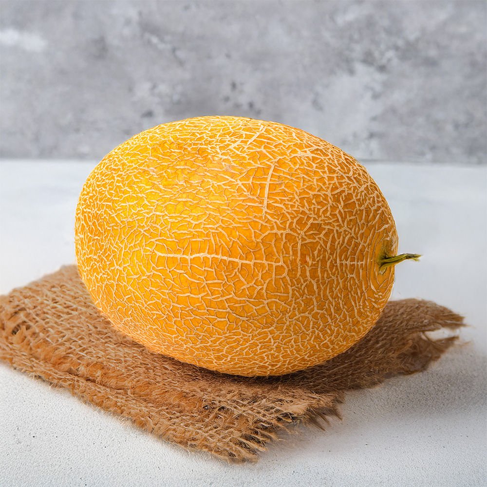 Golden Muskmelon