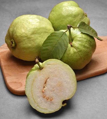 Guava