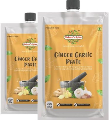 Nature's Spice Ginger Garlic Paste - 400 Grams