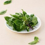 Basil - Thai, Sweet