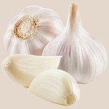 Garlic - Premium