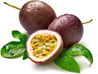 Midday exotic Kerala Passion fruit, 1kg | good source of vitamin A and C, potassium, and fiber